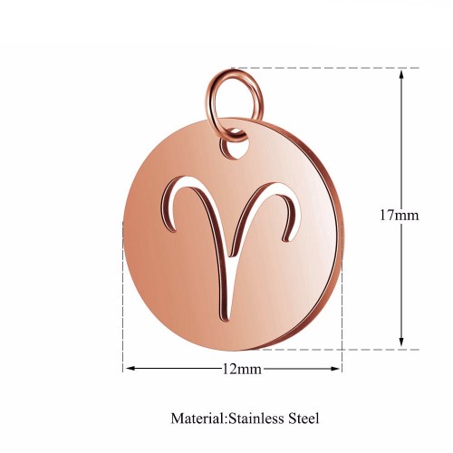 Zodiac pendant astrology horoscope disc charm in Stainless steel with rose gold plating T445-R-1